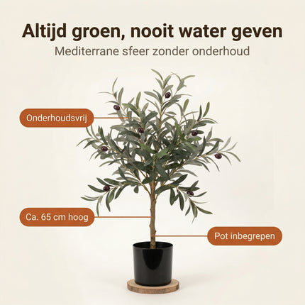 Cheqo® Kunstplant Olijfboompje - Benefit Map