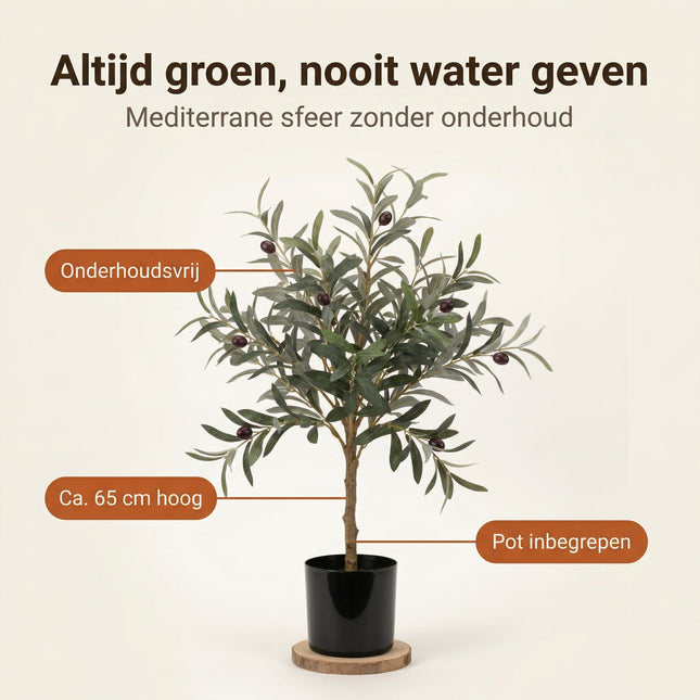 Cheqo® Kunstplant Olijfboompje - Benefit Map
