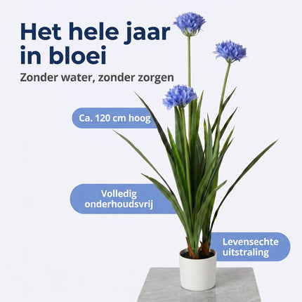 Cheqo® Agapanthus Kunstplant - Benefit Map