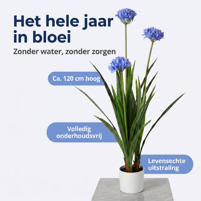 Cheqo® Agapanthus Kunstplant - Benefit Map