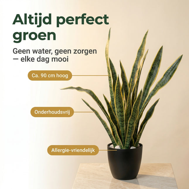 Cheqo Kunstplant Sansevieria - Benefit Map