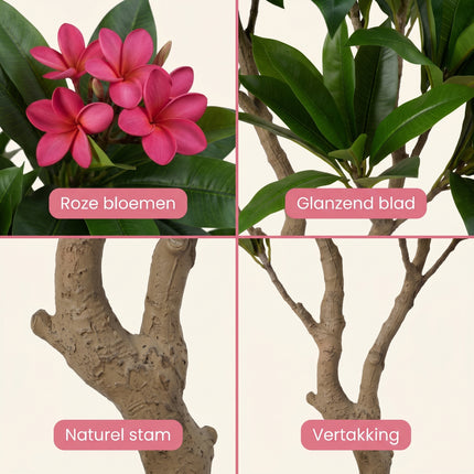 Cheqo® Kunstplant Frangipani - Detail Split