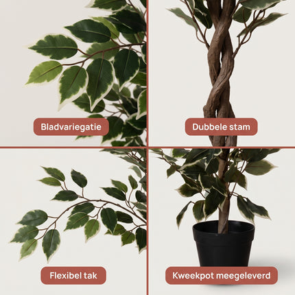 Cheqo® Kunstplant Ficus Benjamina Variegata - Detail Split