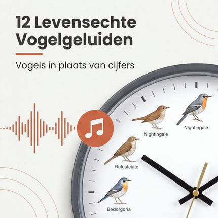 infographic-3