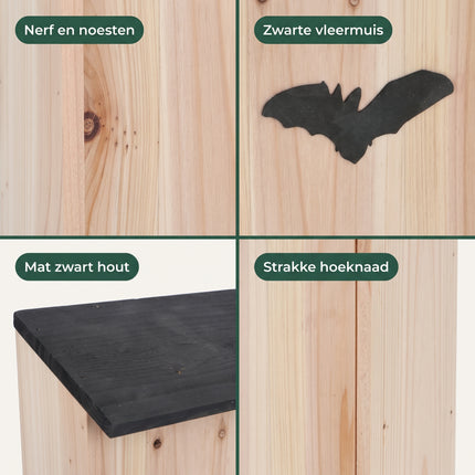 infographic-3: Bat house
