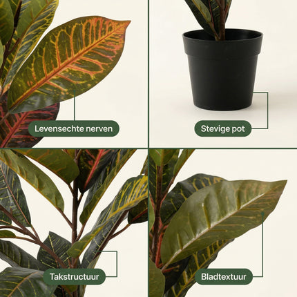 Cheqo Kunstplant Calathea - Detail Split