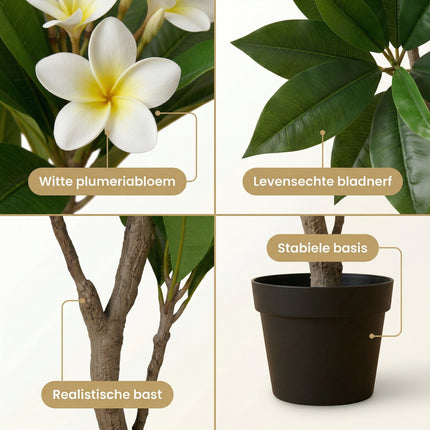 Cheqo® Kunstplant Plumeria - Frangipani - Detail Split