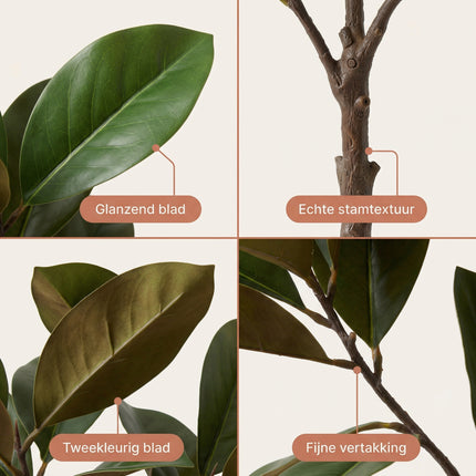 Cheqo® Kunstplant Magnolia - Detail Split