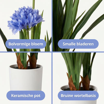 Cheqo® Agapanthus Kunstplant - Detail Split