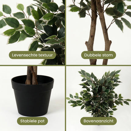 Cheqo® Kunstplant Ficus Benjamina - Detail Split