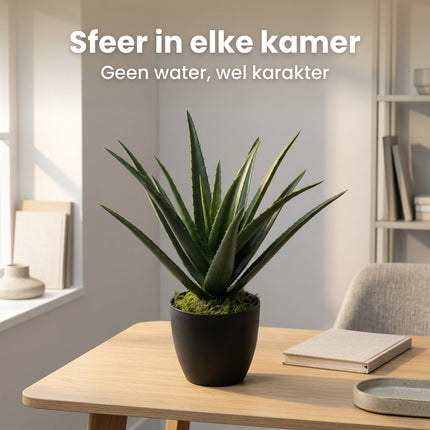 Cheqo® Kunstplant Aloë Vera - Lifestyle