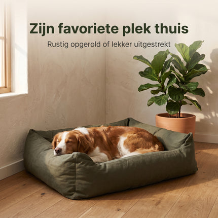 Cheqo Hondenmand Rechthoekig - Lifestyle
