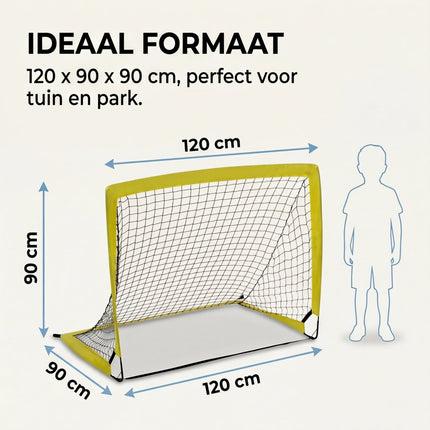 infographic-4