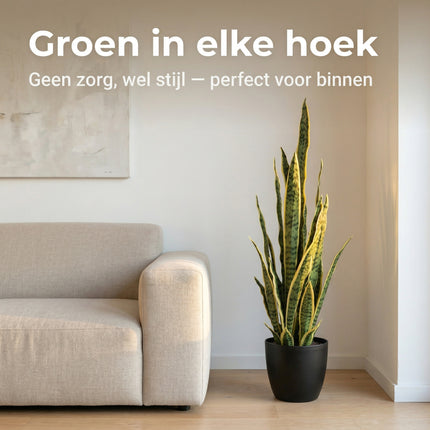 Cheqo Kunstplant Sansevieria - Lifestyle