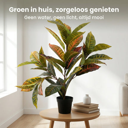 Cheqo Kunstplant Calathea - Lifestyle