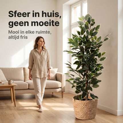 Cheqo® Kunstplant Ficus Benjamina Variegata - Lifestyle