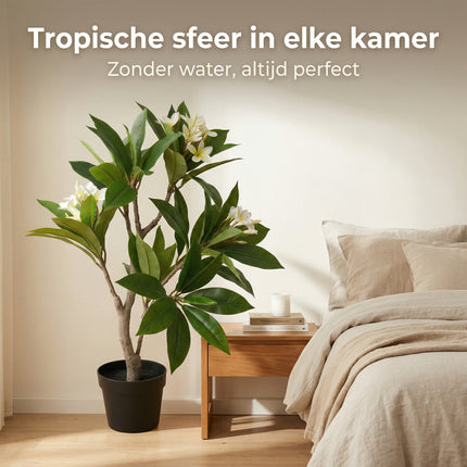 Cheqo® Kunstplant Plumeria - Frangipani - Lifestyle