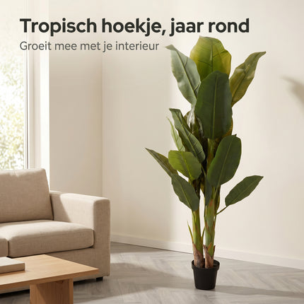 Cheqo® Kunstplant Bananenboom - Lifestyle