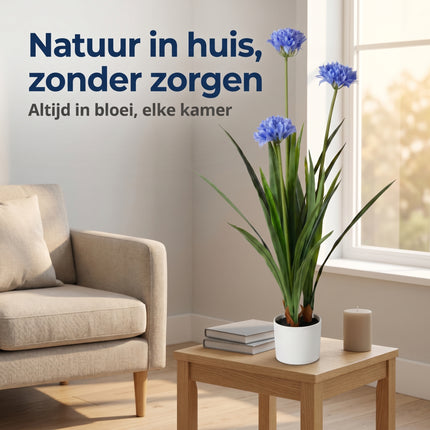 Cheqo® Agapanthus Kunstplant - Lifestyle