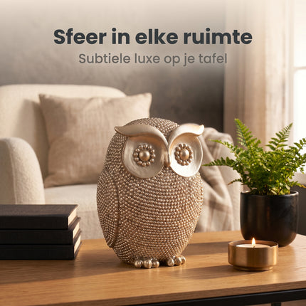 Cheqo® Uil Beeldje - Lifestyle