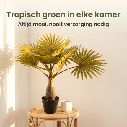 Cheqo® Kunstpalm Waaierpalm - Lifestyle