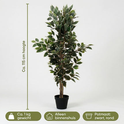 Cheqo® Kunstplant Ficus Benjamina - Specs