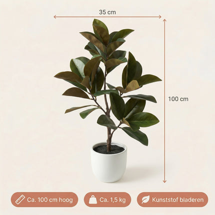 Cheqo® Kunstplant Magnolia - Specs