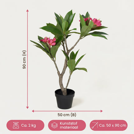 Cheqo® Kunstplant Plumeria Roze 50x90cm - Specs