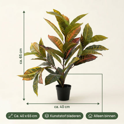 Cheqo Kunstplant Calathea - Specs
