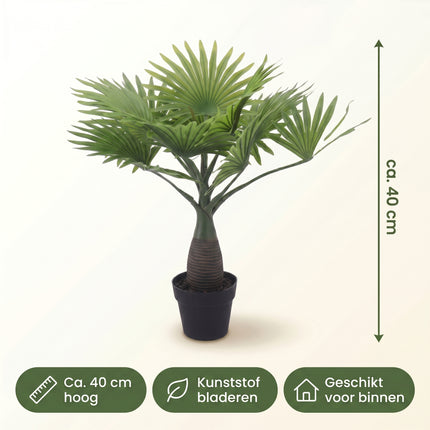 Cheqo® Kunstpalm Waaierpalm - Specs