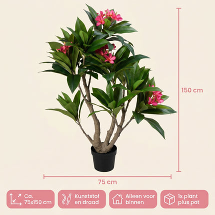 Cheqo® Kunstplant Frangipani - Specs