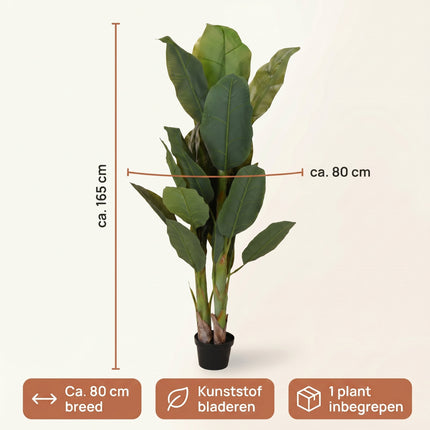 Cheqo® Kunstplant Bananenboom - Specs