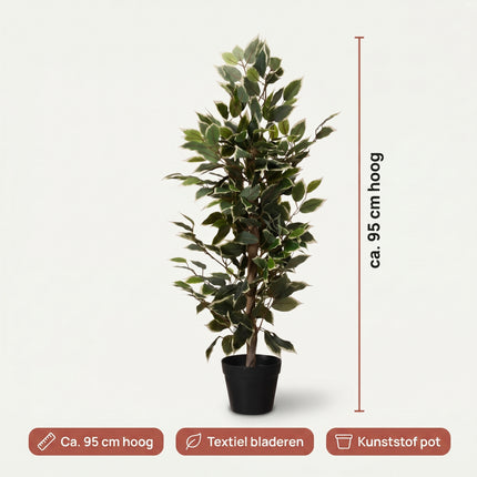 Cheqo® Kunstplant Ficus Benjamina Variegata - Specs