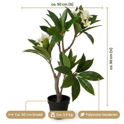 Cheqo® Kunstplant Plumeria - Frangipani - Specs