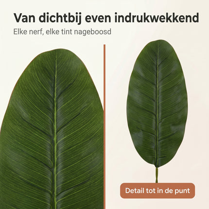 Cheqo® Kunstplant Bananenboom - Bezwaarkiller