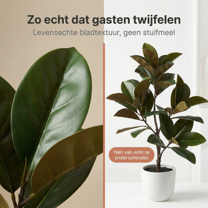 Cheqo® Kunstplant Magnolia - Bezwaarkiller