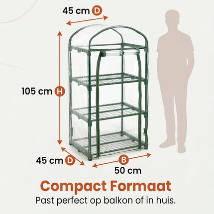 infographic-6