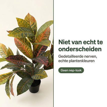 Cheqo Kunstplant Calathea - Bezwaarkiller