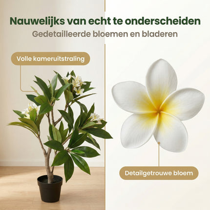 Cheqo® Kunstplant Plumeria - Frangipani - Bezwaarkiller