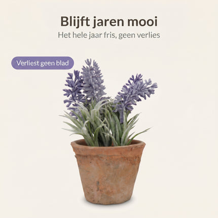 Cheqo Kunstplant Lavendel in Pot - Bezwaarkiller