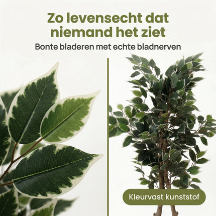 Cheqo® Kunstplant Ficus Benjamina - Bezwaarkiller