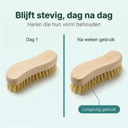 infographic-6: Basic houten borstel 20 cm
