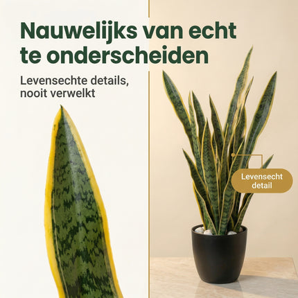 Cheqo Kunstplant Sansevieria - Bezwaarkiller