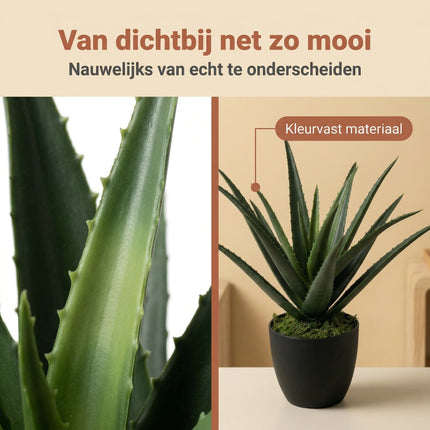 Cheqo® Kunstplant Aloë Vera - Bezwaarkiller