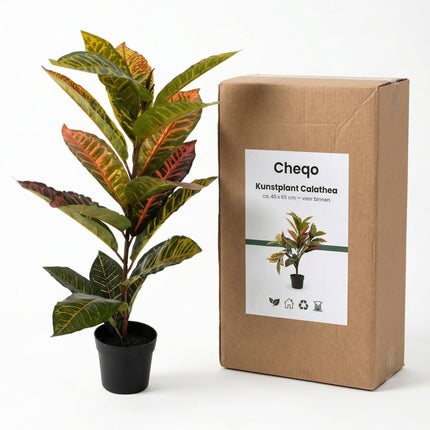 Cheqo Kunstplant Calathea - Verpakking