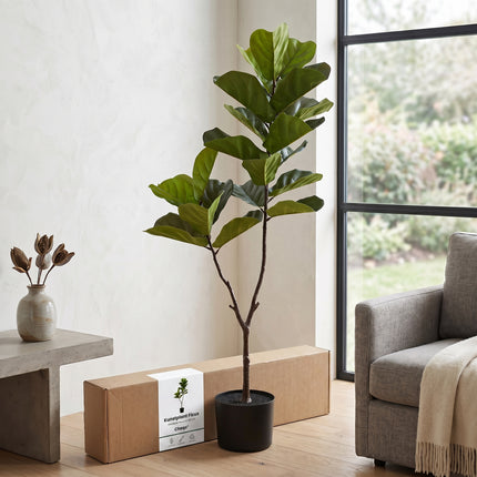 Cheqo® Kunstplant Ficus Lyrata - Verpakking