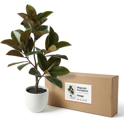 Cheqo® Kunstplant Magnolia - Verpakking