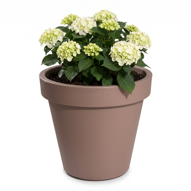 Cheqo® Bloempot Rond - Plantenpot Groot - Plantenbak Kunststof - Sierpot XXL - Bloembak Mokka Bruin - Bloemenpot voor Binnen en Buiten - voor Tuin, Balkon en Terras - voor Kamerplanten en Buitenplanten - voor Olijfboom, Bomen en Struiken - Hero Studio