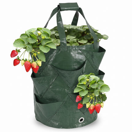 Cheqo® Kweekzakken Set van 3 - Plantenzakken - Aardbeienzak - Growbags - Groeizak - Plantzak - Hangende Plantenzak - Moestuinzak - voor Aardbeien - Tomaten - Kruiden en Groenten - voor Balkon en Terras - Verticaal Tuinieren - met Handvatten - Hero Studio (fix v4)