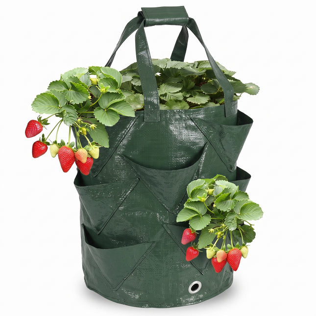 Cheqo® Kweekzakken Set van 3 - Plantenzakken - Aardbeienzak - Growbags - Groeizak - Plantzak - Hangende Plantenzak - Moestuinzak - voor Aardbeien - Tomaten - Kruiden en Groenten - voor Balkon en Terras - Verticaal Tuinieren - met Handvatten - Hero Studio (fix v4)